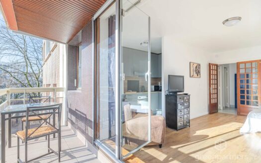 Studio 32 m2 avec terrasse plein sud sur cour